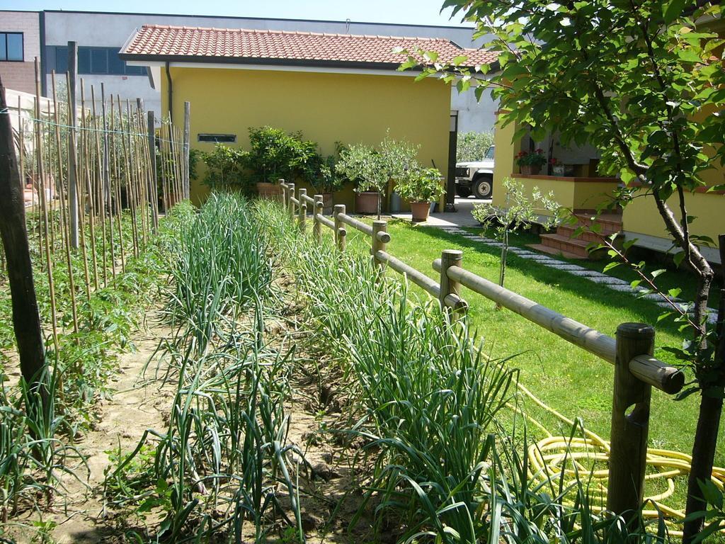 Nonna Alda Bed and Breakfast Βιαρέτζιο Δωμάτιο φωτογραφία