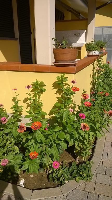 Nonna Alda Bed and Breakfast Βιαρέτζιο Εξωτερικό φωτογραφία