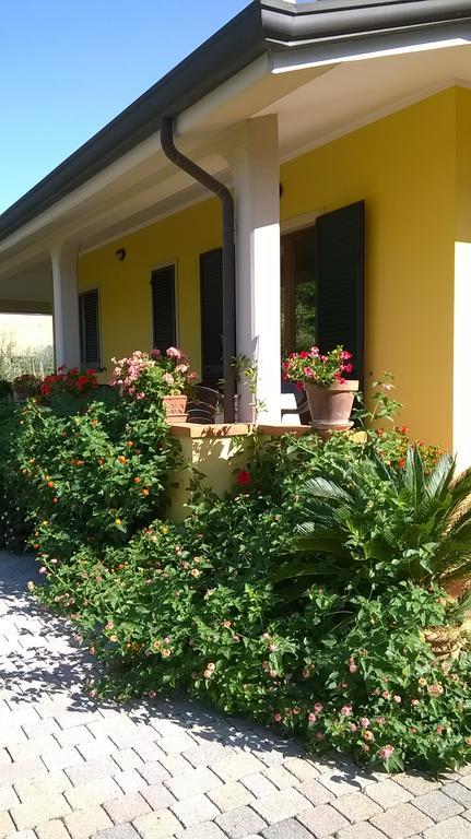 Nonna Alda Bed and Breakfast Βιαρέτζιο Εξωτερικό φωτογραφία