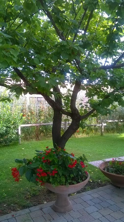 Nonna Alda Bed and Breakfast Βιαρέτζιο Δωμάτιο φωτογραφία